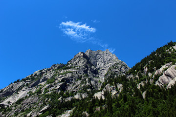 Granite mountain covered by pine trees with white cloud