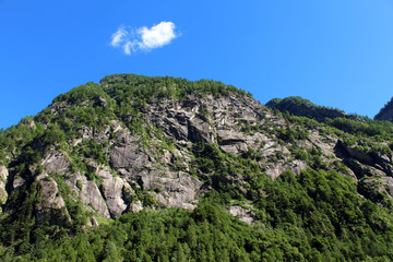Pine trees covering a granite mountain steep slope