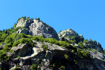 Granite mountains covered by a pine tree forest