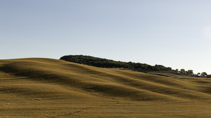 Fototapeta na wymiar Rolling Tuscan Hillside Near Pienza, Tuscany