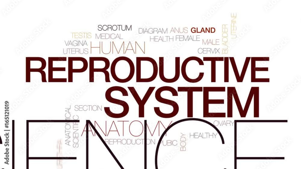 Poster Reproductive system animated word cloud, text design animation. Kinetic typography.