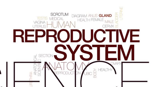 Reproductive system animated word cloud, text design animation. Kinetic typography.