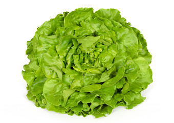 Butterhead lettuce front view. Also Boston or Bibb lettuce. Round lettuce. A green head salad with loose arrangement of leaves. Variety of Lactuca sativa. Closeup photo on white background. © Peter Hermes Furian