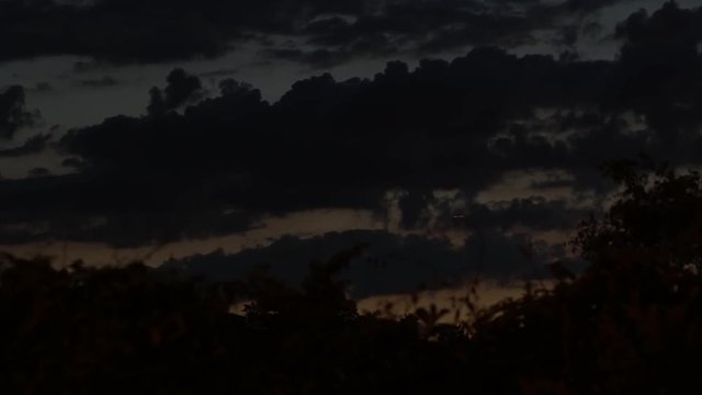 Fantastic starry night sky with half moon