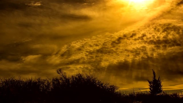 Global Climate Change 