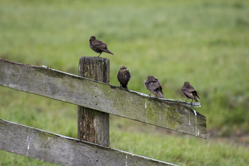 Obraz premium first adventure