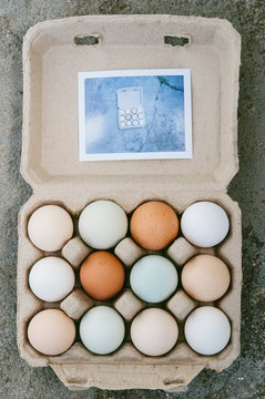 Carton of eggs with instant photograph