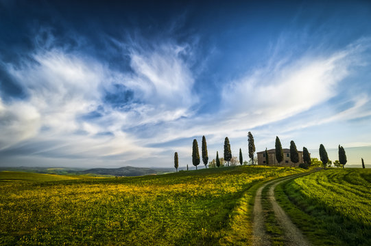 Traditional farm with path and cypresses in Tuscany