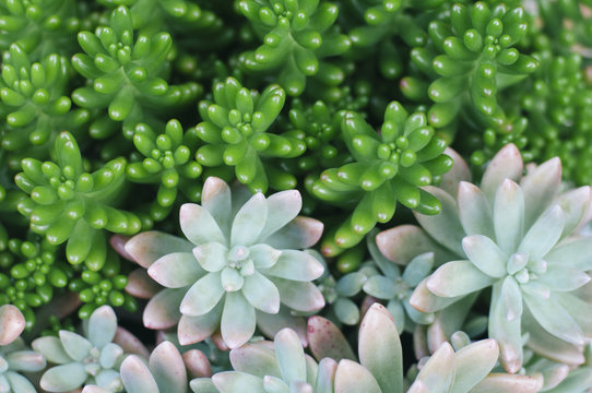 Nature background