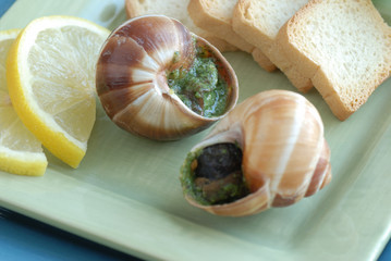 Escargot closeup