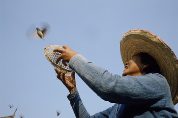 Woman releasing bird from cage at buddhist temple. Vietnam.