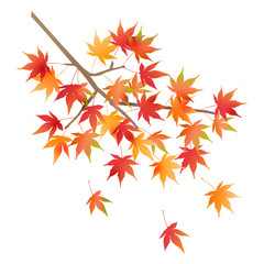 紅葉　秋　葉　アイコン