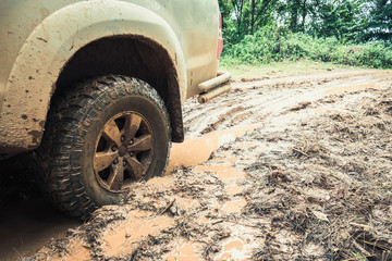 Car's wheels in mud in the forest, off-road