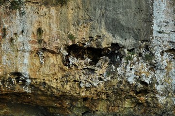 mur aux oiseaux baléare