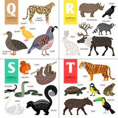 Alphabet with cute animals: raccoon, raven, reindeer, rhinoceros, scorpio
