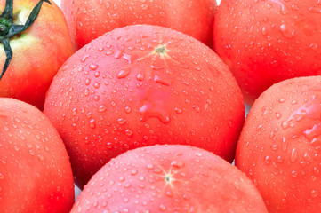 夏の味覚　トマト