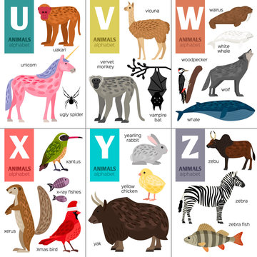Alphabet with cute animals: unicorn, wolf, bat, monkey, bird