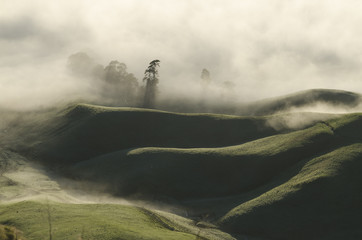 Morning at Te Mata, New Zealand