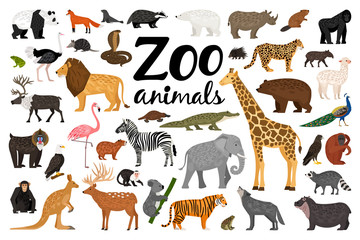 Zoo animals collection - obrazy, fototapety, plakaty