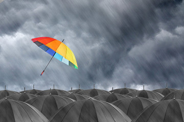 Different colorful umbrella holding