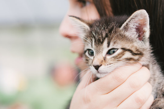 a girl holding a young tabby cat