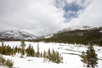 Sierra Nevada Mountains in Yosemite