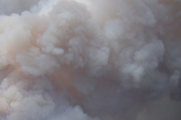 Close-up of smoke clouds forming during a fire at the Wharton State Forest.