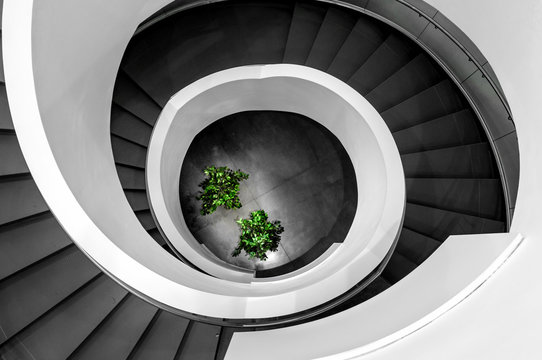 spiral staircase with trees