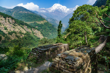 つり橋とアンナプルナ (ネパール)
