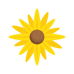 flower icon over white background vector illustration