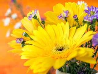 Colorful flowers with colorful backgrounds as well.