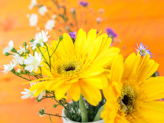 Colorful flowers with colorful backgrounds as well.
