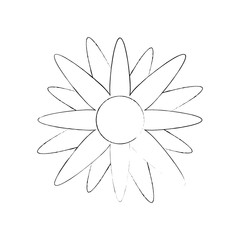 flower icon over white background vector illustration