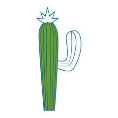 cactus icon over white background vector illustration