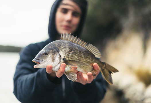 Young Man with a Southern Black Bream