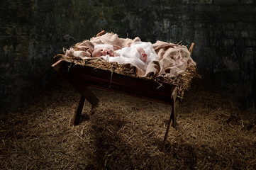 New Born Jesus on a Manger