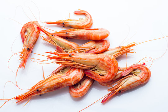 A lot of shrimp on a white background.