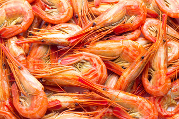 Background of shrimp.