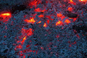 Background of coals