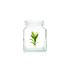 Coins glass jar with investment  for money saving and investment financial concept