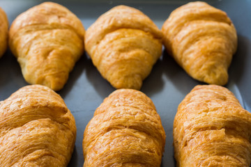 Croissants are in tray after leaving the oven for Served customers in breakfast.