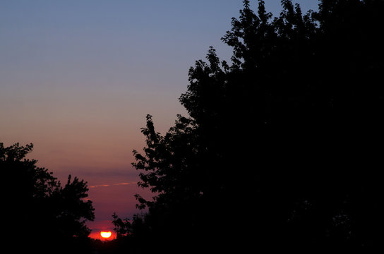 silhouettes sunset