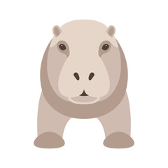 hippo. vector illustration. style flat . front side