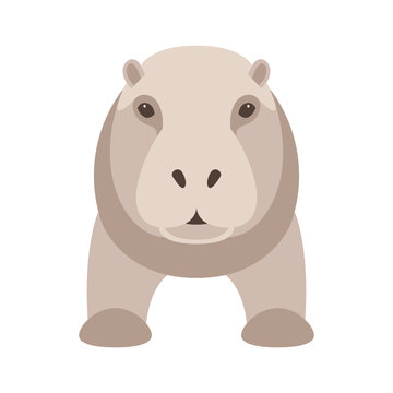 hippo. vector illustration. style flat . front side