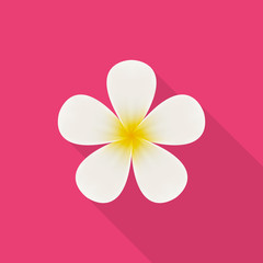 Plumeria (frangipani) flower icon with long shadow on pink background, flat design style. Vector illustration eps 10.