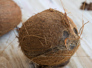 Eine Kokosnuss sieht dich an