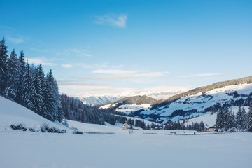Winter Landscape