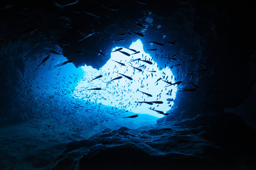Sweepers in the underwater cave
