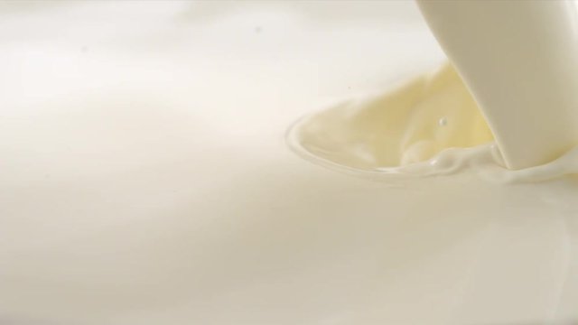 Pouring Milk closeup. Milk Splesh Slow Motion.
