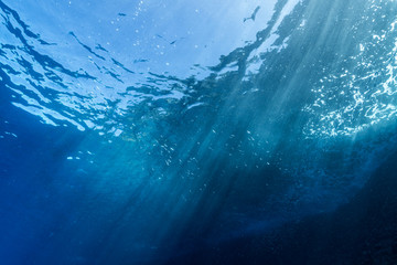 Rays of sunlight shining into sea, underwater view